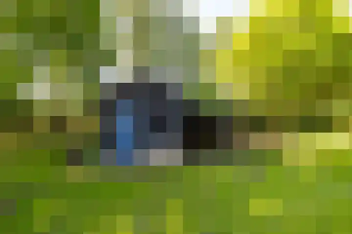 Anlooërweg 2 Annen thumbnail 70