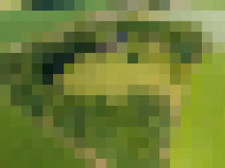 Anlooërweg 2 Annen thumbnail 71