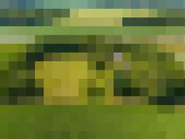 Anlooërweg 2 Annen thumbnail 72