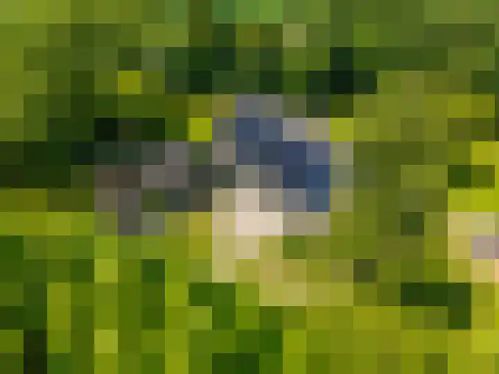 Anlooërweg 2 Annen thumbnail 8
