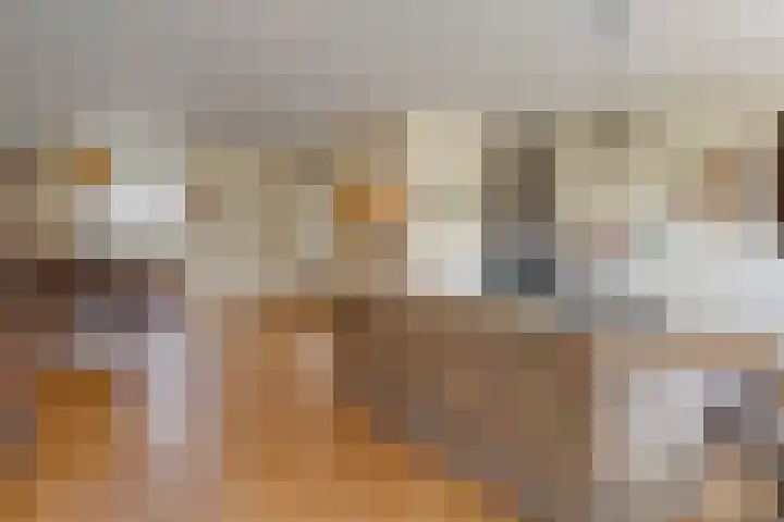Anlosediep 13 Zwolle thumbnail 12
