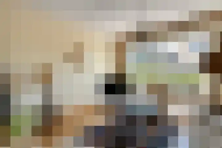 Anlosediep 13 Zwolle thumbnail 14