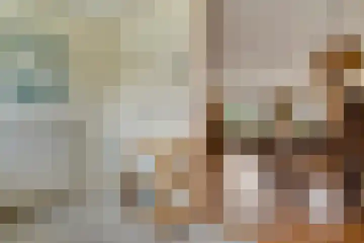 Anlosediep 13 Zwolle thumbnail 15