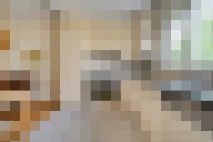 Anlosediep 13 Zwolle thumbnail 18