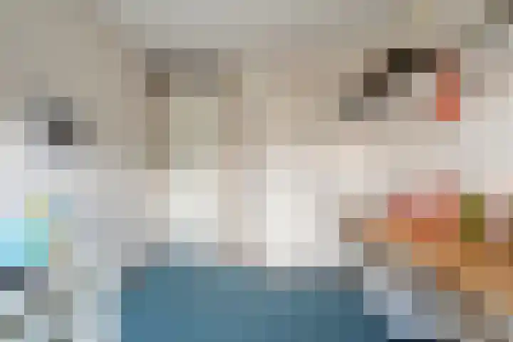 Anlosediep 13 Zwolle thumbnail 28