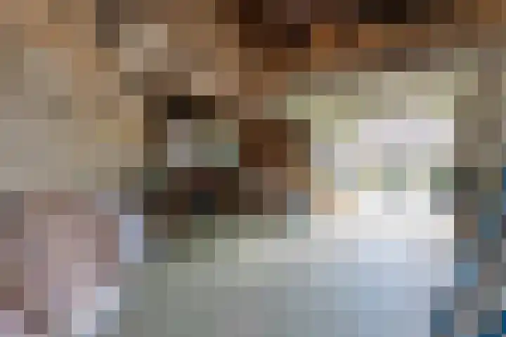 Anlosediep 13 Zwolle thumbnail 32