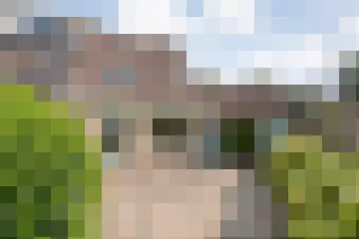 Anlosediep 13 Zwolle thumbnail 33