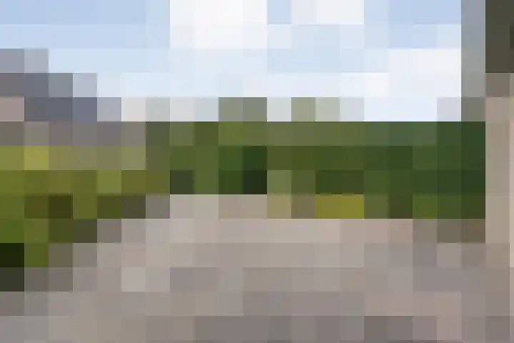 Anlosediep 13 Zwolle thumbnail 35