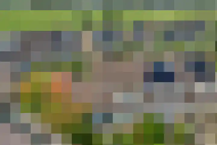 Anlosediep 13 Zwolle thumbnail 37