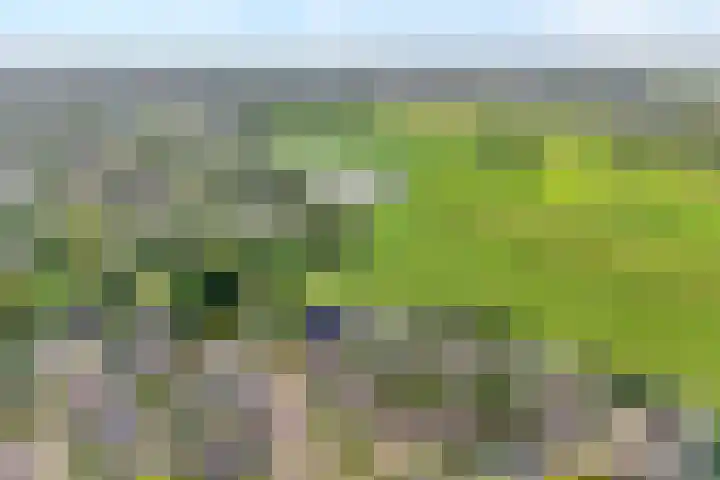 Anlosediep 13 Zwolle thumbnail 38