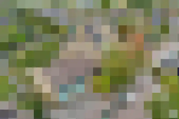 Anlosediep 13 Zwolle thumbnail 5