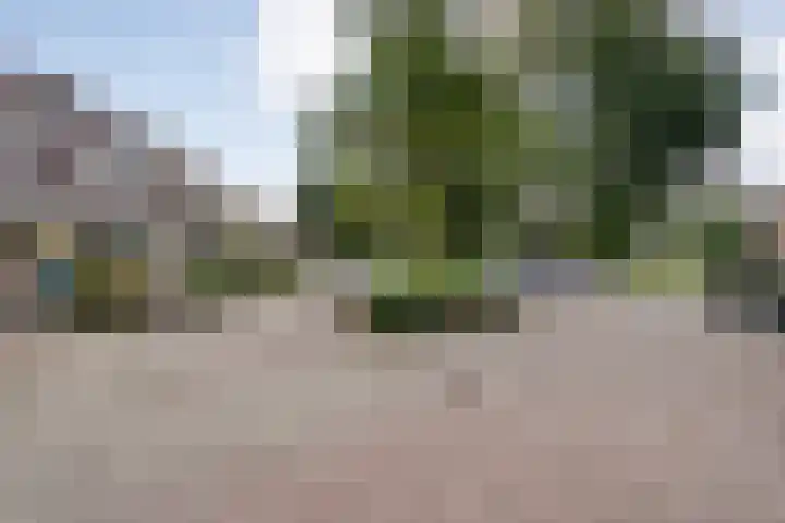 Anlosediep 13 Zwolle thumbnail 6