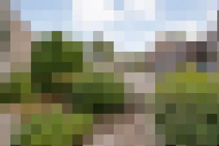 Anlosediep 13 Zwolle thumbnail 8