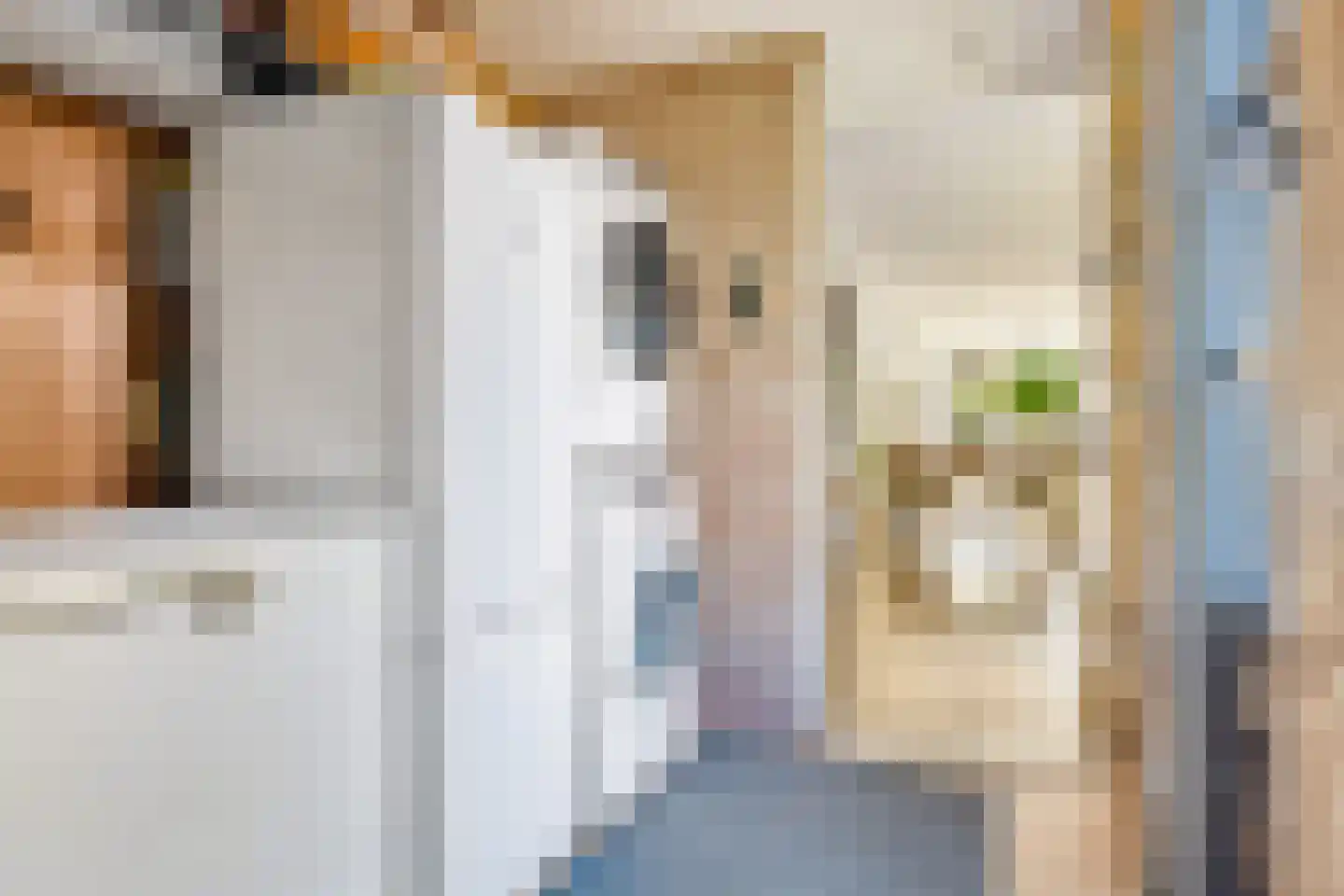 Anlosediep 4 Zwolle thumbnail 21
