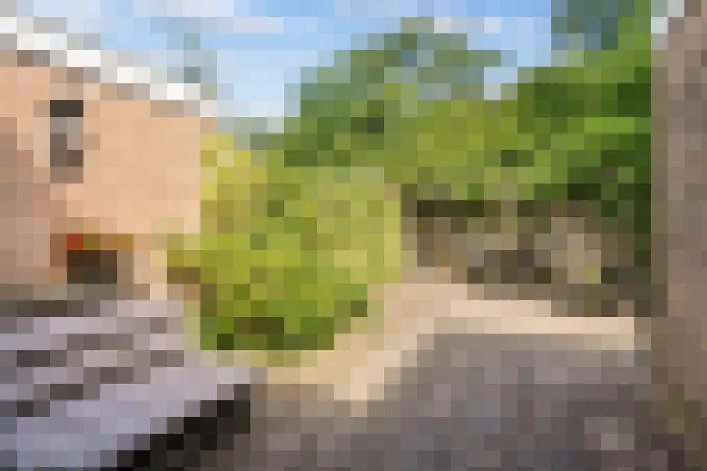 Anlosediep 4 Zwolle thumbnail 38