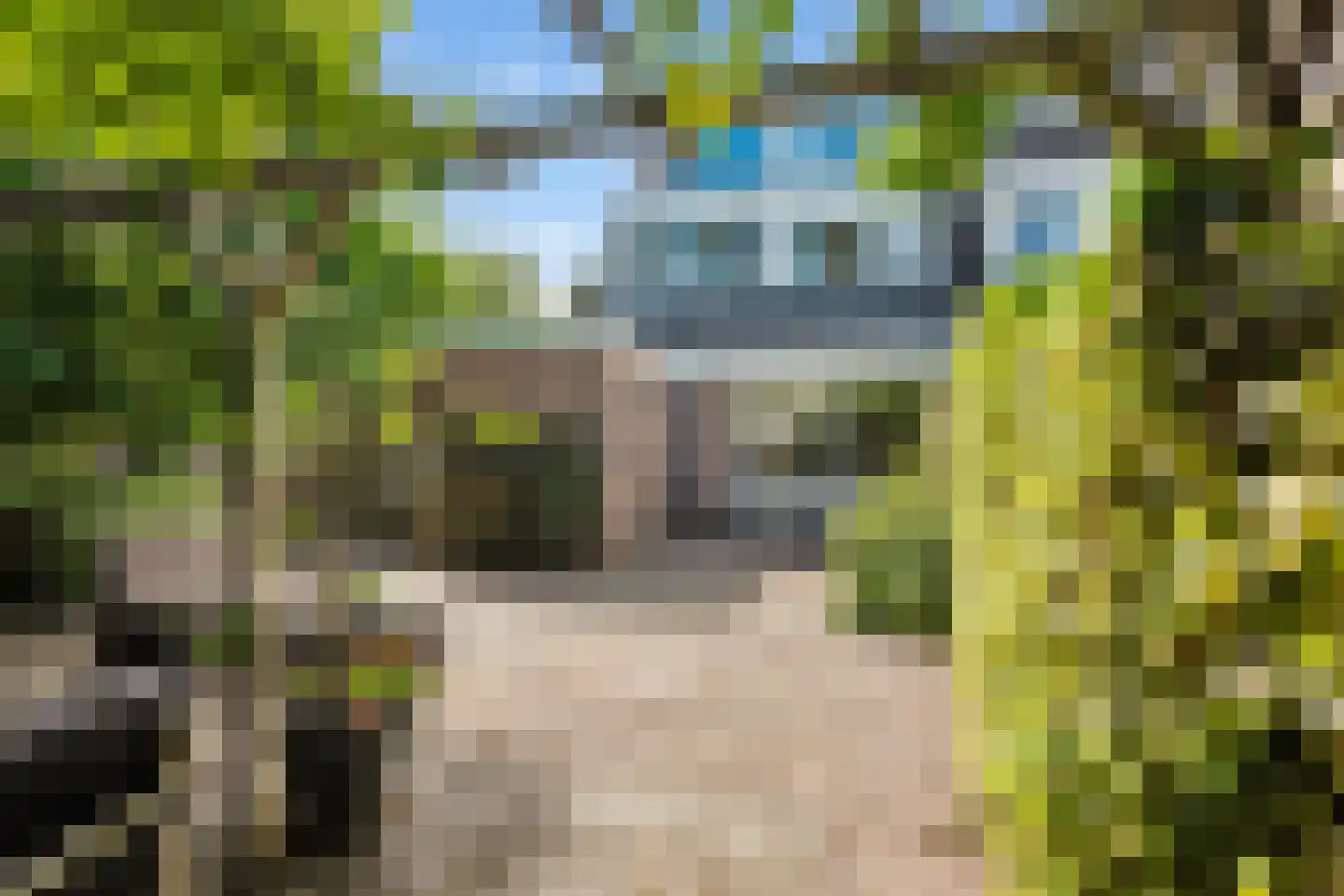 Anlosediep 4 Zwolle thumbnail 40