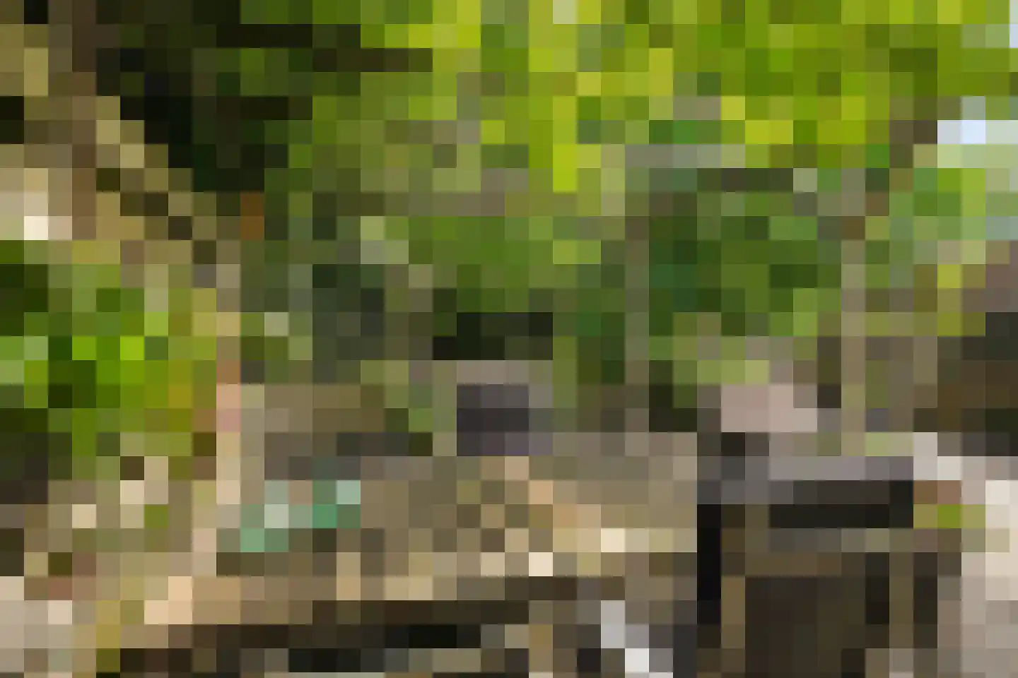 Anlosediep 4 Zwolle thumbnail 41