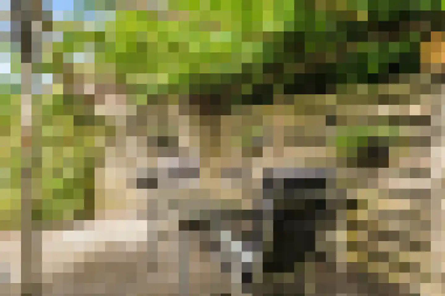 Anlosediep 4 Zwolle thumbnail 42