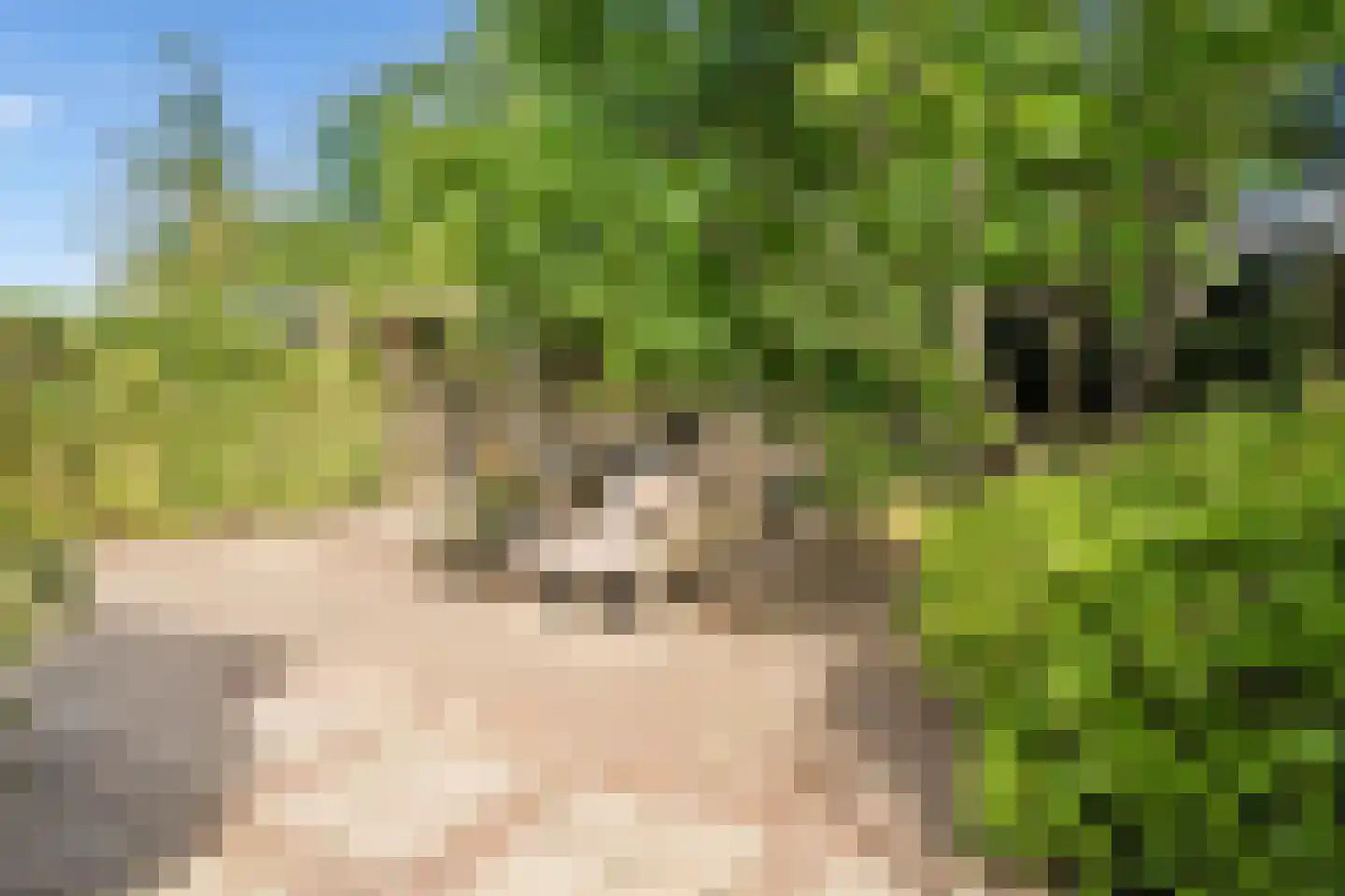 Anlosediep 4 Zwolle thumbnail 44