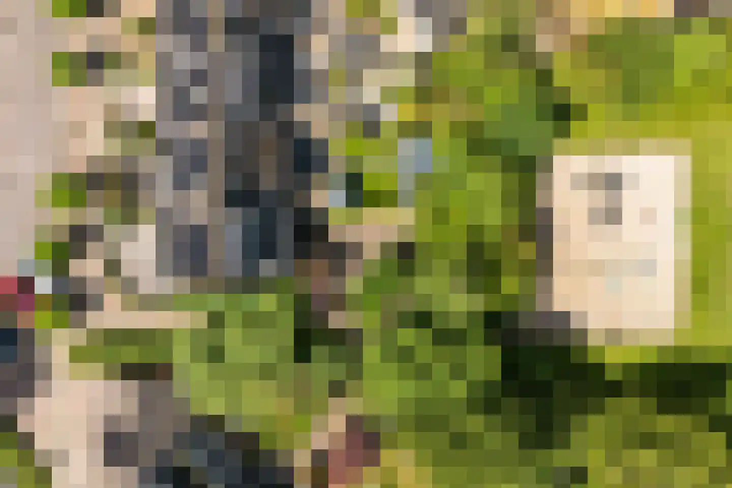 Anlosediep 4 Zwolle thumbnail 55