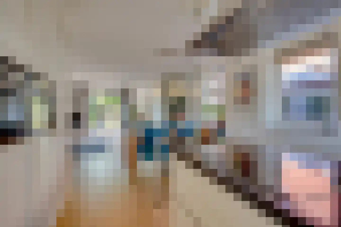 Anna Aleidalaan 18 Leusden thumbnail 13
