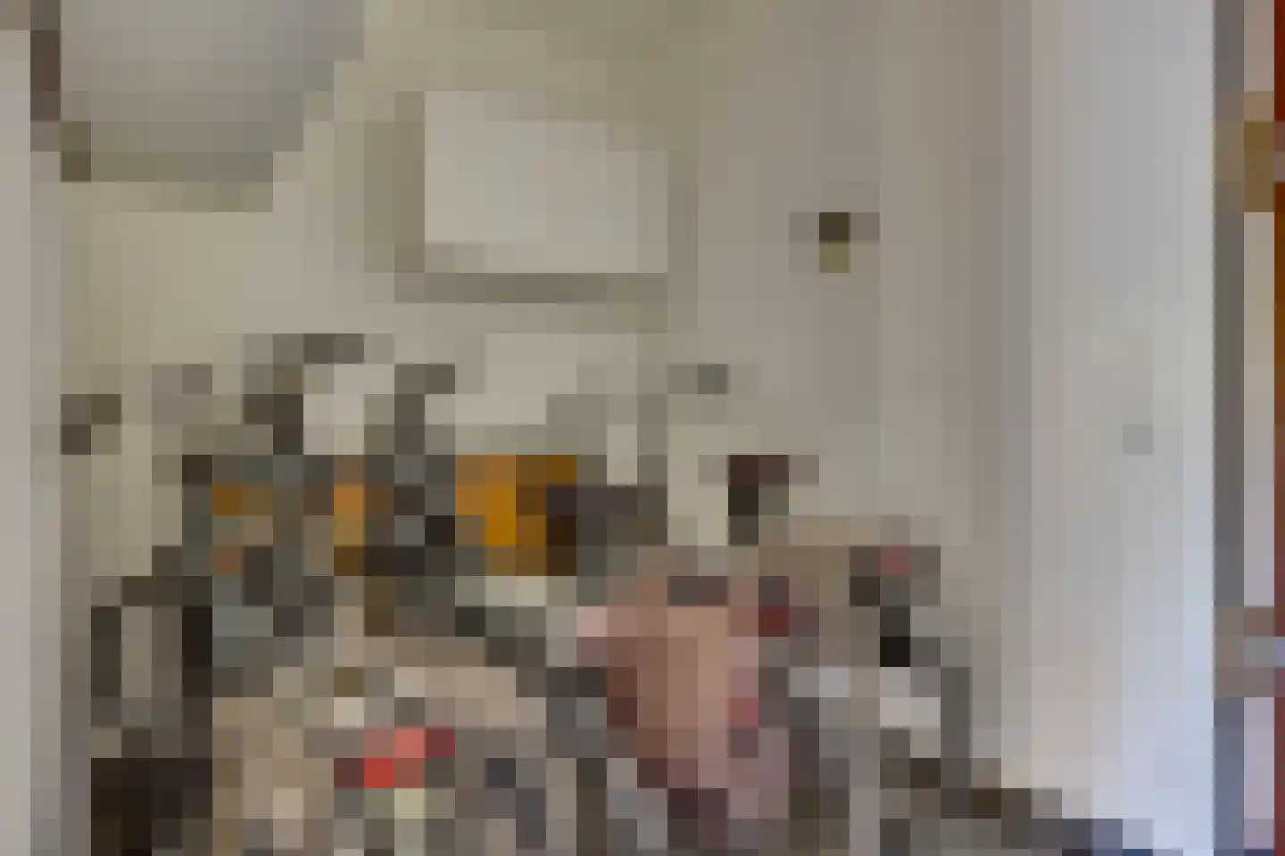 Anna Aleidalaan 18 Leusden thumbnail 20