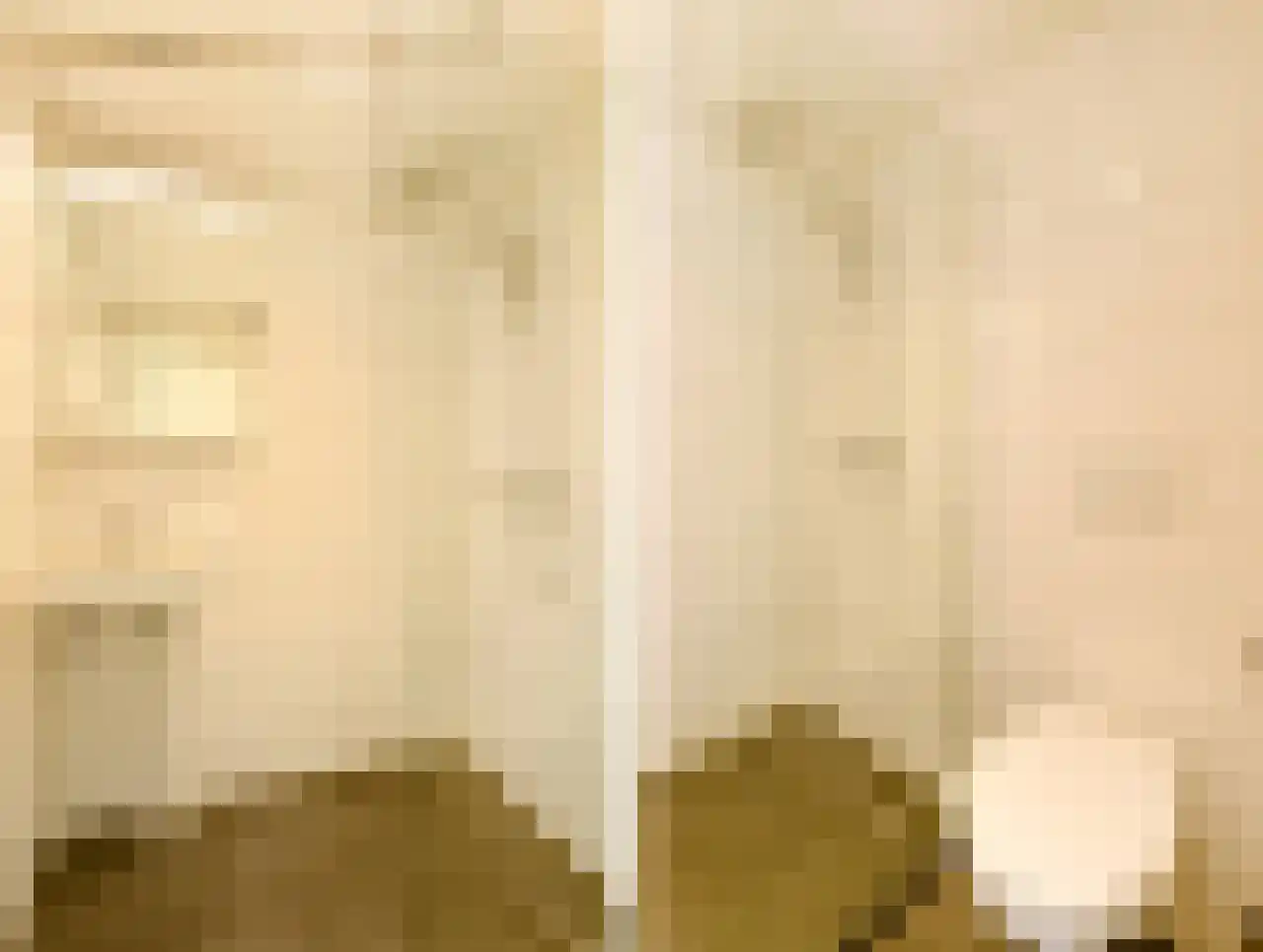Anna Beijerstraat 21 C Delft thumbnail 16