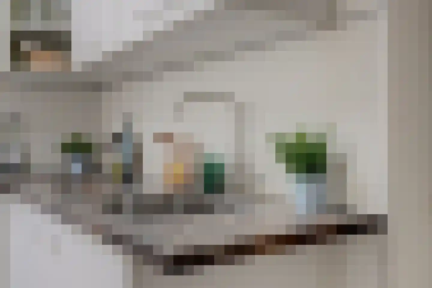 Anna Beijerstraat 4 Delft thumbnail 23