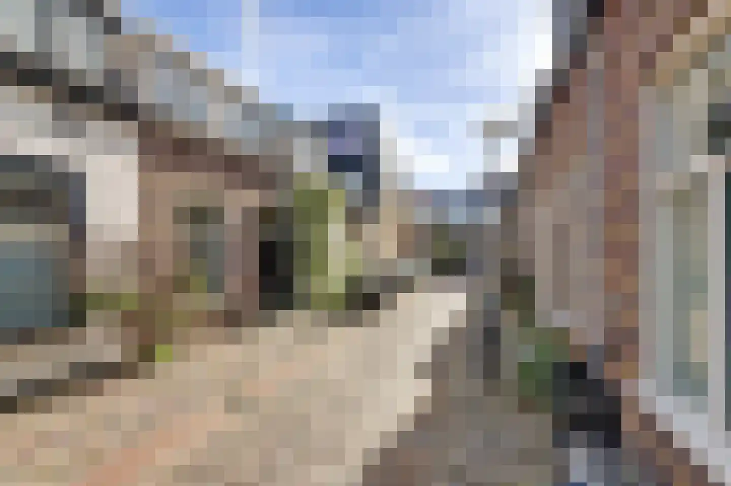 Anna Beijerstraat 4 Delft thumbnail 8