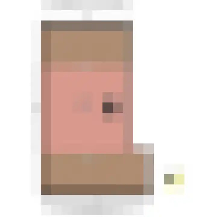 Anna Bijnslaan 71 Den Haag thumbnail 62