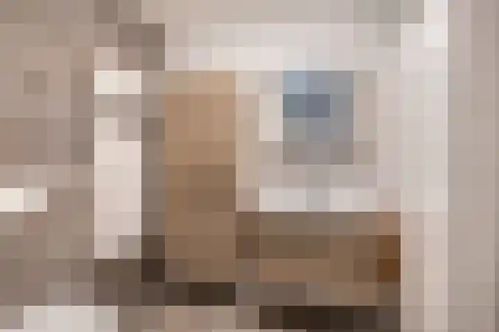 Anna Bijnspad 16 Middelharnis thumbnail 25
