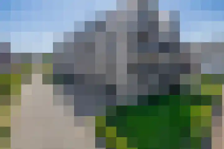 Anna Bijnspad 16 Middelharnis thumbnail 33