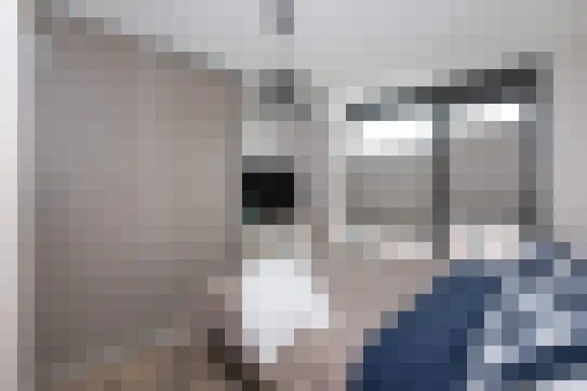 Anna Bijnspad 22 Middelharnis thumbnail 20
