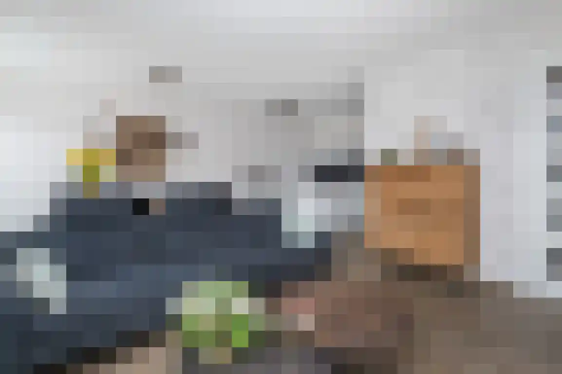 Anna Bijnspad 22 Middelharnis thumbnail 9
