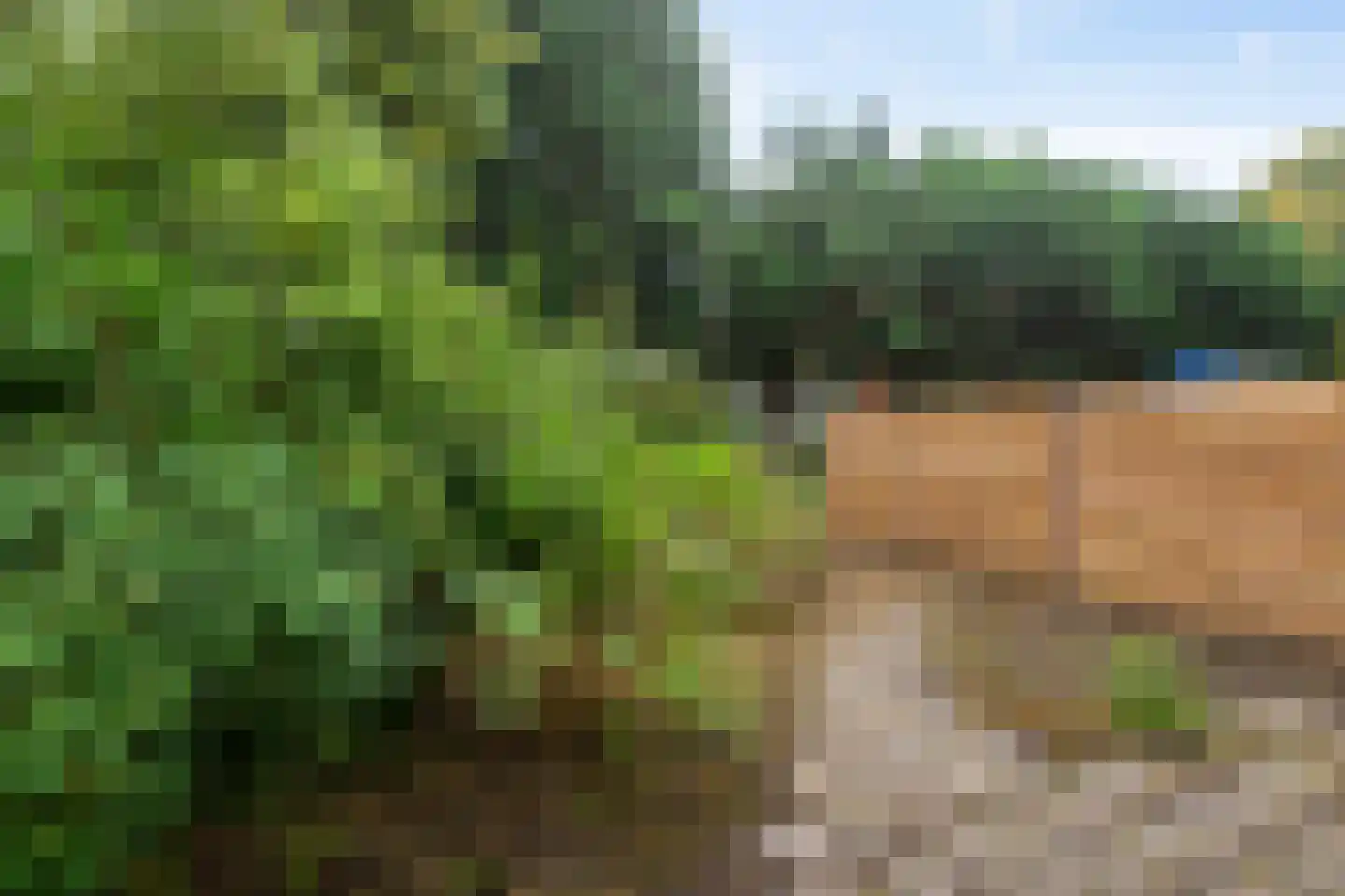 Anna Bijnspad 23 Haren Gn thumbnail 28