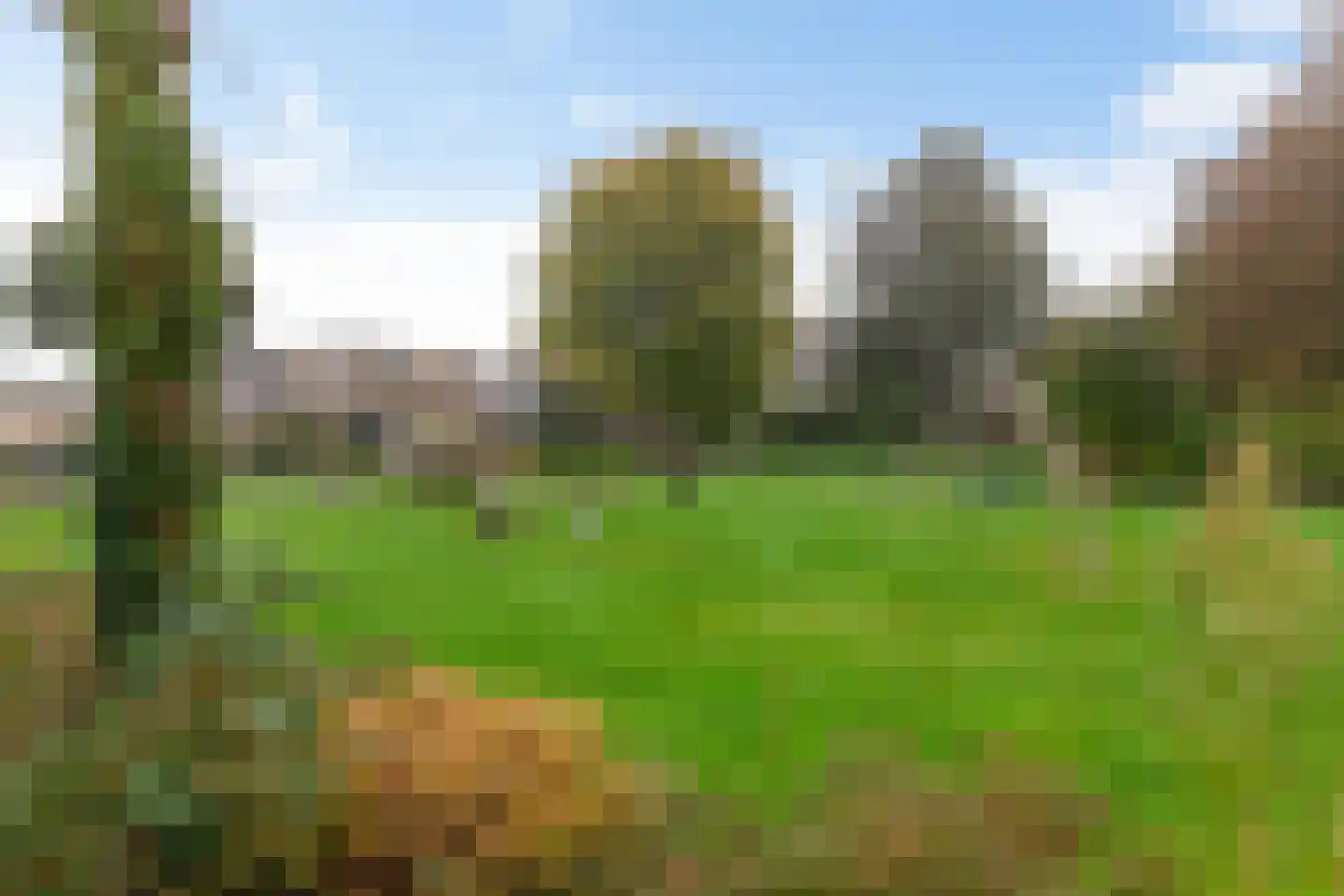 Anna Bijnspad 23 Haren Gn thumbnail 4