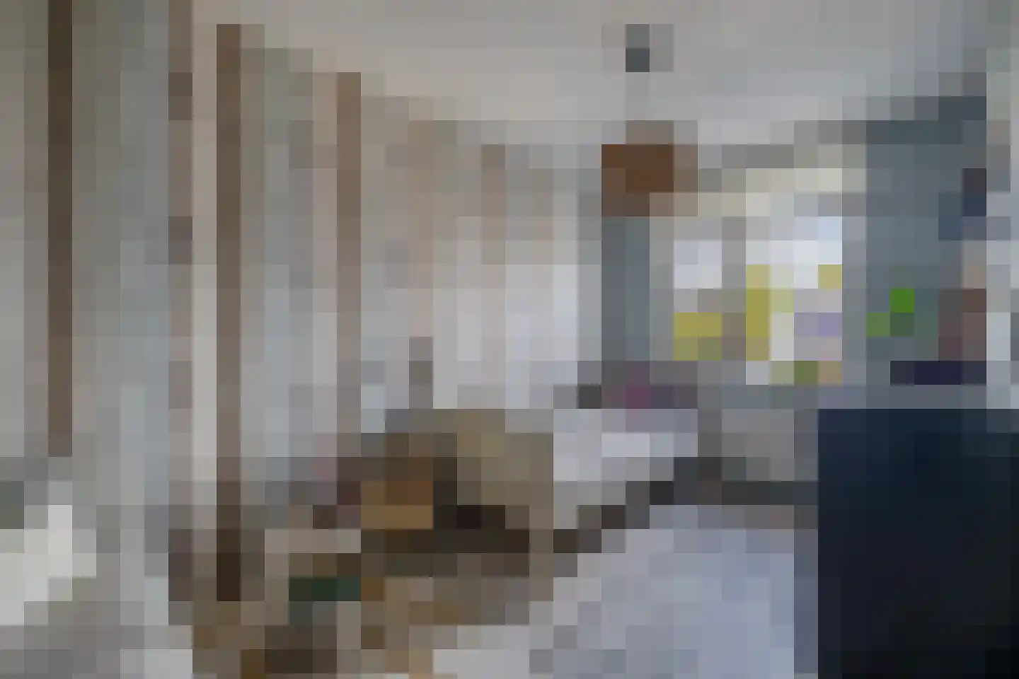 Anna Bijnspad 39 Middelharnis thumbnail 20