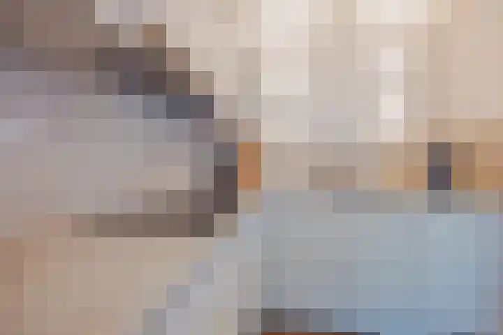 Anna Bijnsplein 2 Raamsdonksveer thumbnail 20