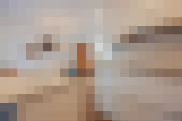 Anna Bijnsplein 2 Raamsdonksveer thumbnail 21