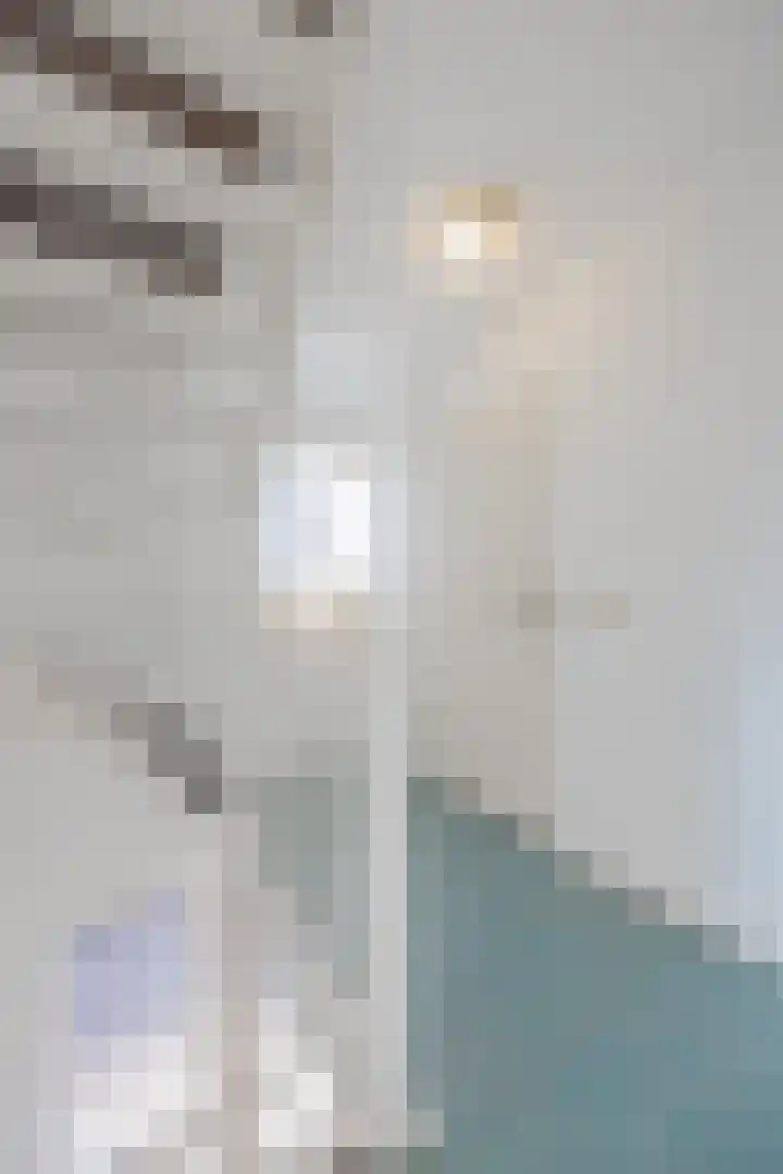 Anna Bijnsplein 2 Raamsdonksveer thumbnail 30