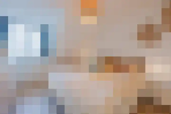 Anna Bijnsplein 2 Raamsdonksveer thumbnail 35