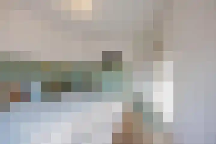 Anna Bijnsplein 2 Raamsdonksveer thumbnail 40