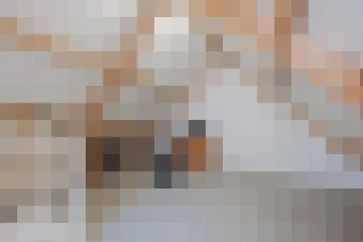 Anna Bijnsplein 2 Raamsdonksveer thumbnail 42