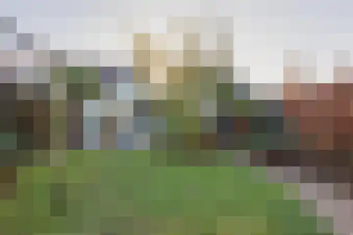 Anna Bijnsplein 2 Raamsdonksveer thumbnail 50