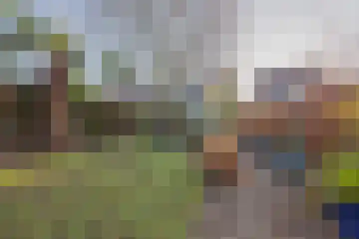 Anna Bijnsplein 2 Raamsdonksveer thumbnail 52