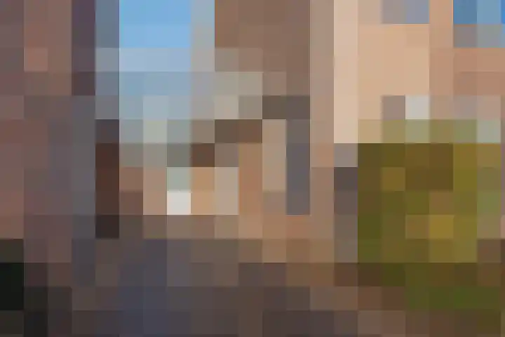 Anna Bijnsplein 2 Raamsdonksveer thumbnail 8