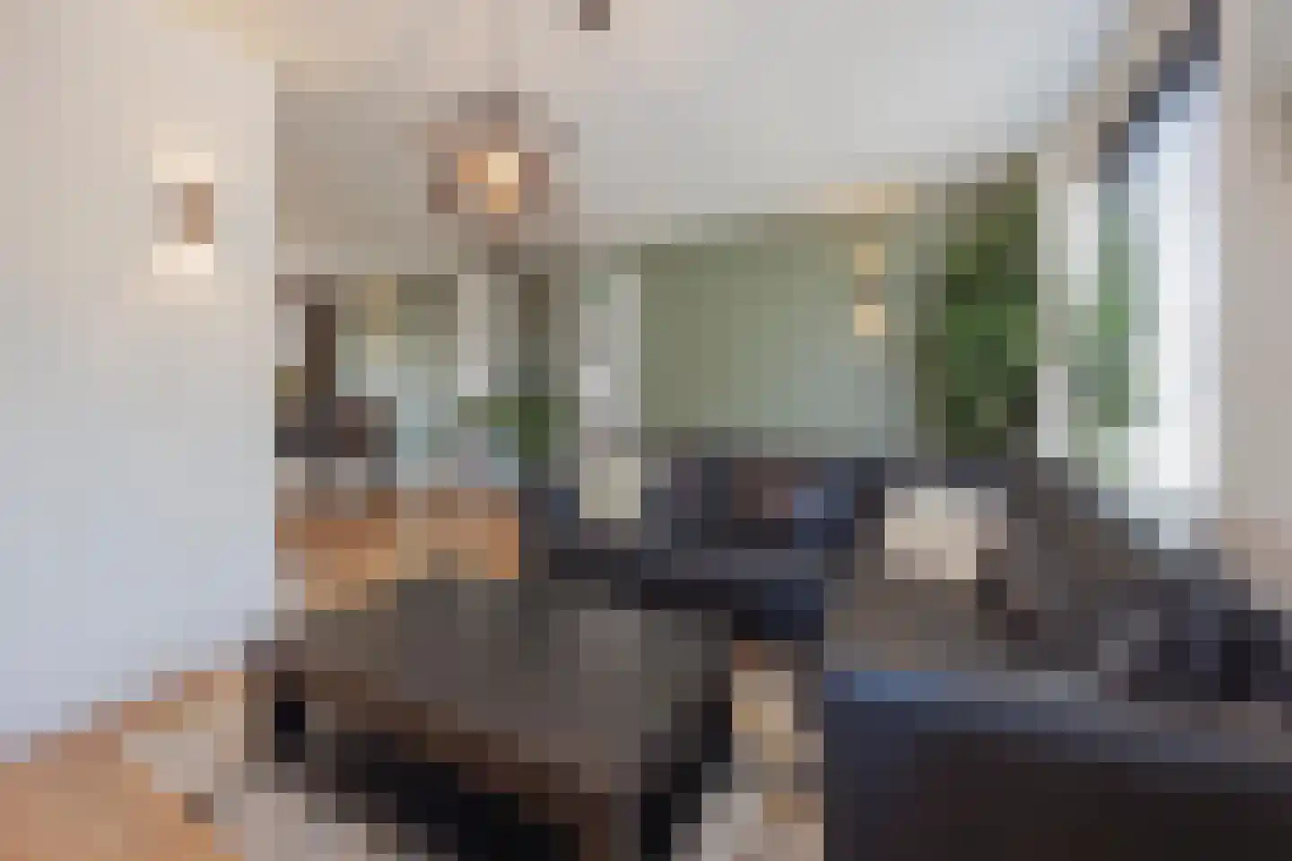 Anna Bijnsplein 6 Raamsdonksveer thumbnail 17