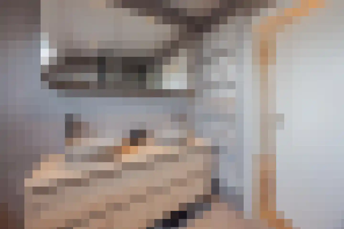 Anna Bijnsplein 6 Raamsdonksveer thumbnail 36
