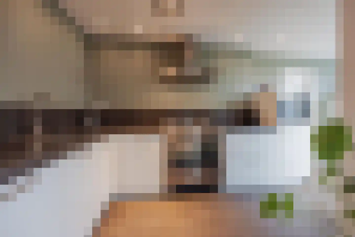 Anna Bijnsplein 6 Raamsdonksveer thumbnail 4