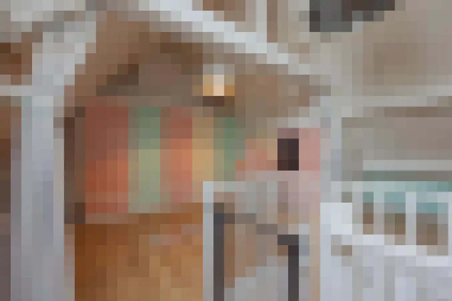 Anna Bijnsplein 6 Raamsdonksveer thumbnail 43